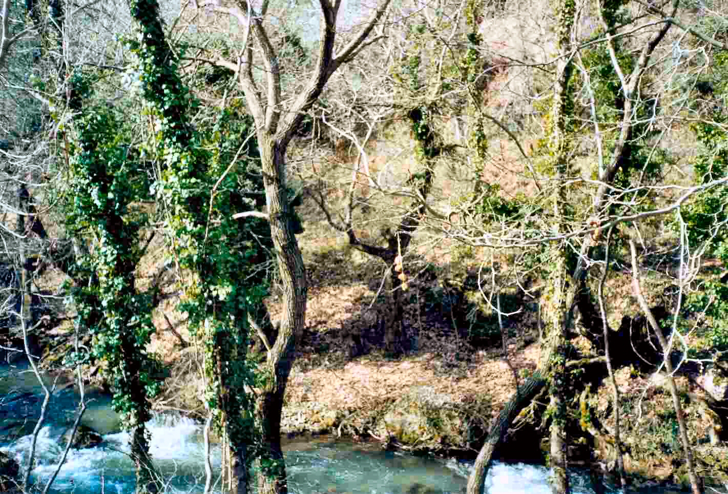 2000 Κοινότητα Κατάβαση Βουραϊκού -
